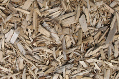 biomass boilers Gatton